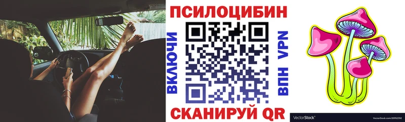 Псилоцибиновые грибы Psilocybe  Купить  Спасск 